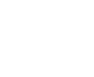 Evolution games at Slot Wolf Casino
